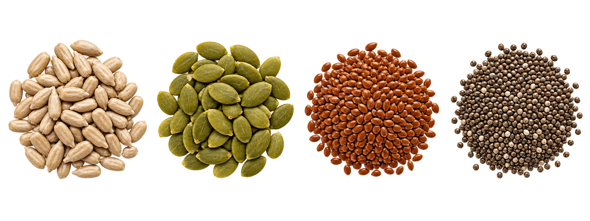 Seeds
